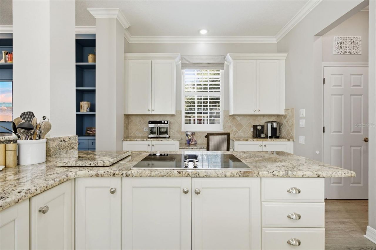 10438 Green Links Drive, Tampa, FL 33626 Photo