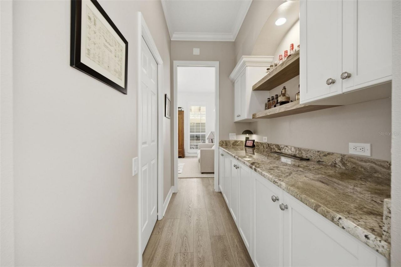 10438 Green Links Drive, Tampa, FL 33626 Photo