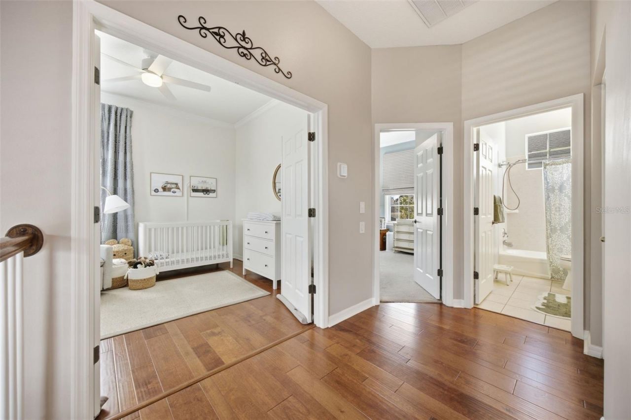10438 Green Links Drive, Tampa, FL 33626 Photo