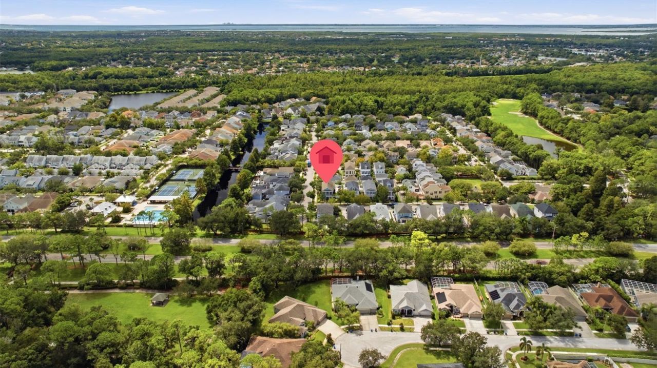 10438 Green Links Drive, Tampa, FL 33626 Photo
