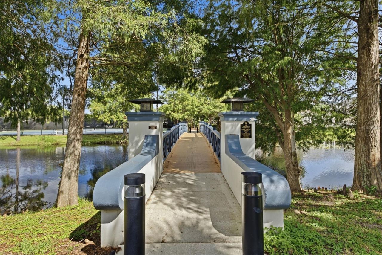 10438 Green Links Drive, Tampa, FL 33626 Photo