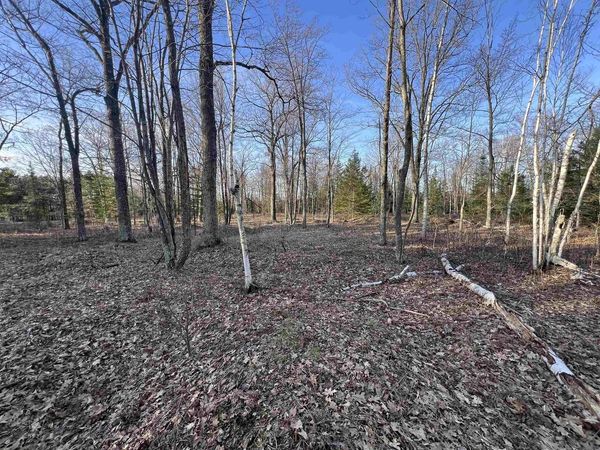 NEJEDLO ROAD, Wausaukee, WI 54177