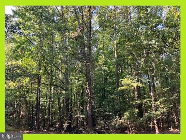 SKYVIEW DRIVE, BUSHWOOD, MD 20618