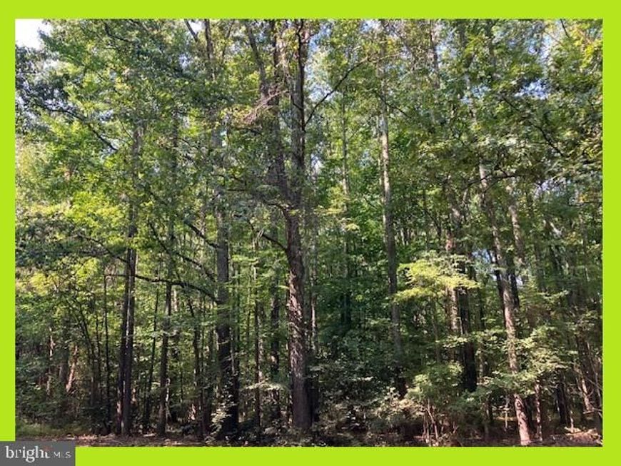 Skyview Drive, Bushwood, MD 20618 Main Photo