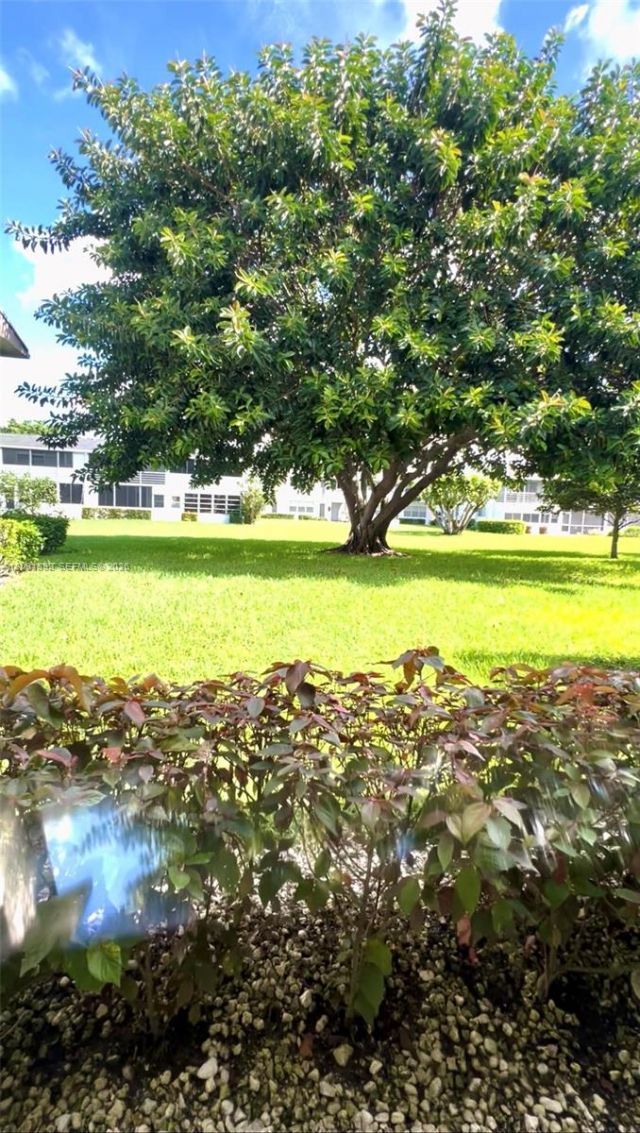 316 N Camden N , Unit 316, West Palm Beach, FL 33417 Photo