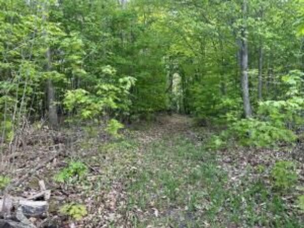 8657 W Black Lane, Cheboygan, MI 49721