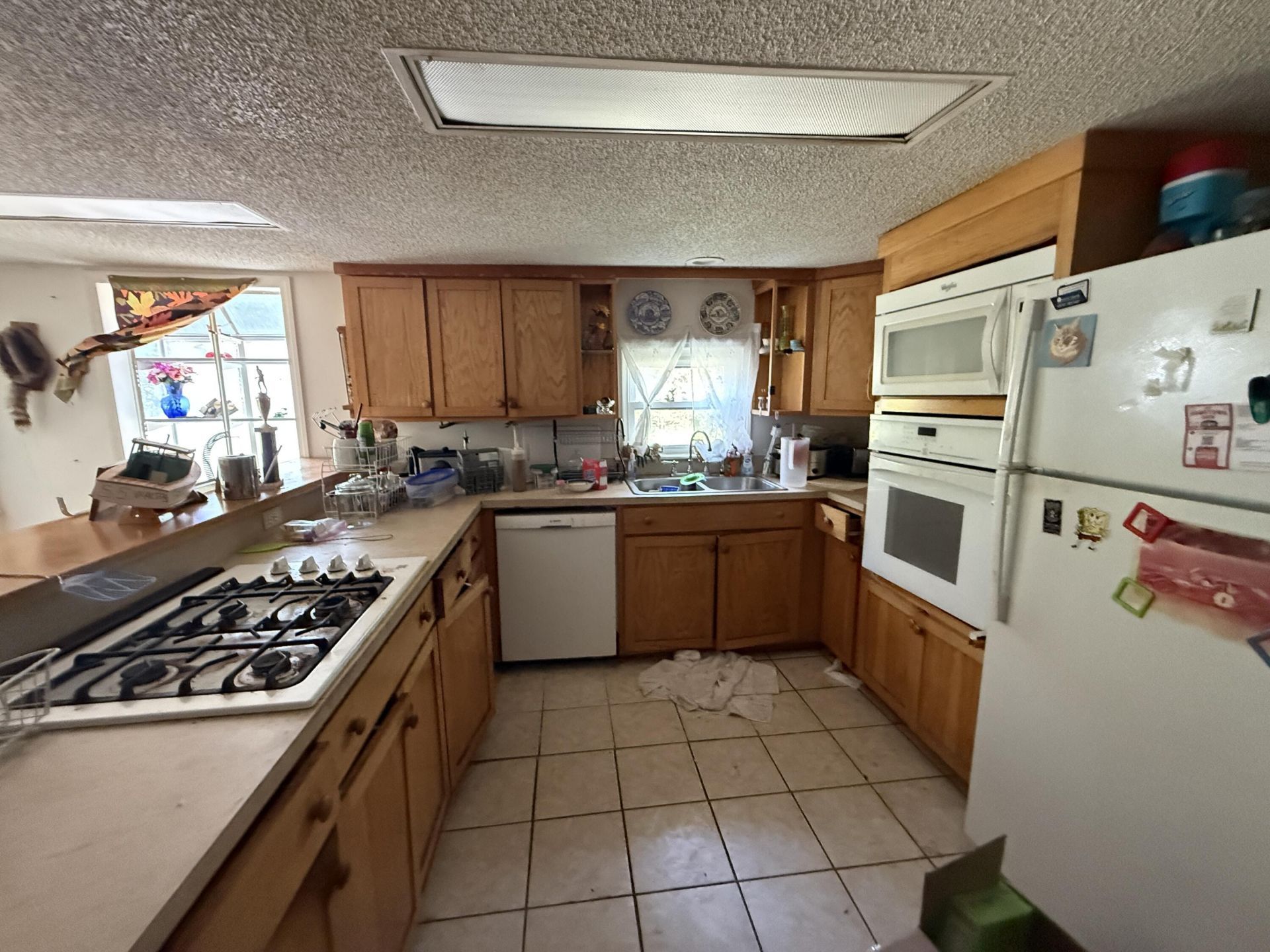 264 Michelle Street Photo 7
