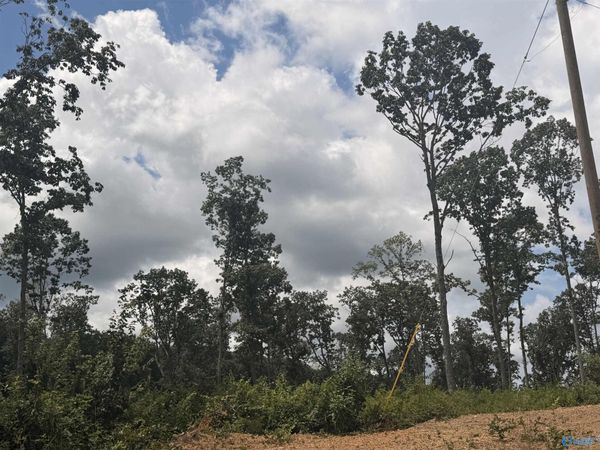 Lot 10 County Road 641, Mentone, AL 35984