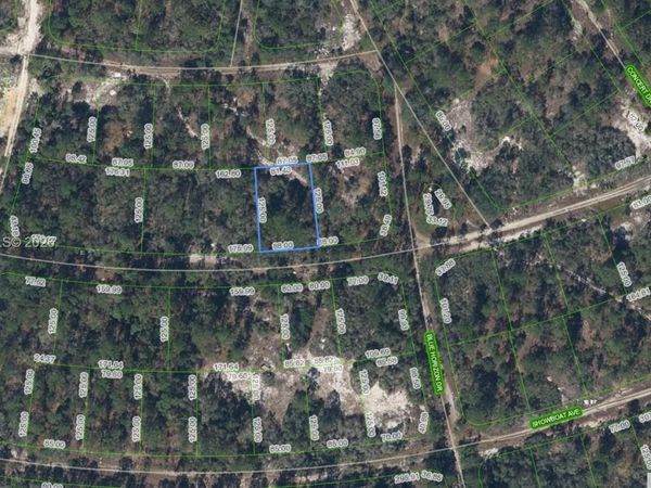 358 Cartier Ave, Lake Placid, FL 33852
