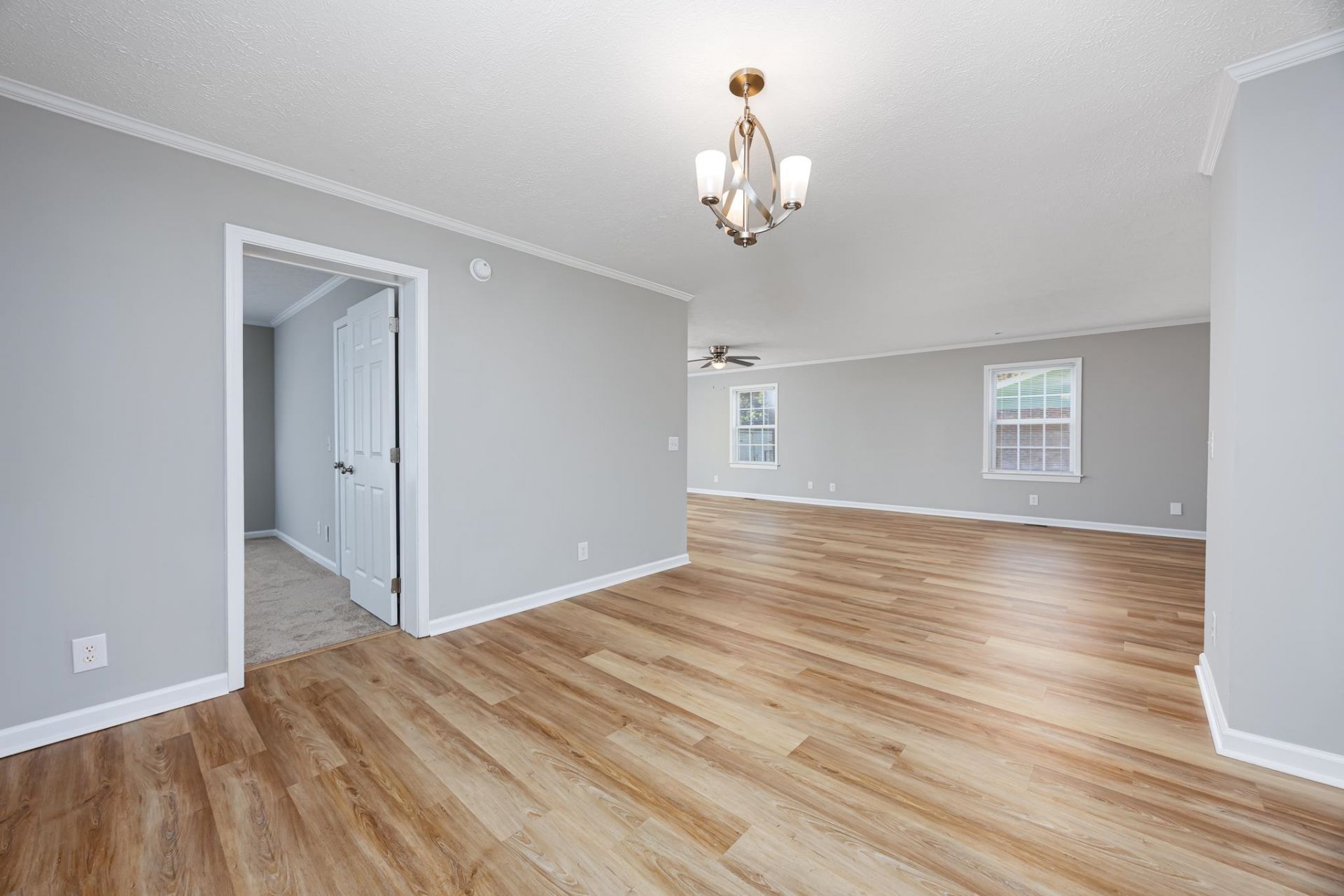 507 Forestbrook Dr. Photo 13