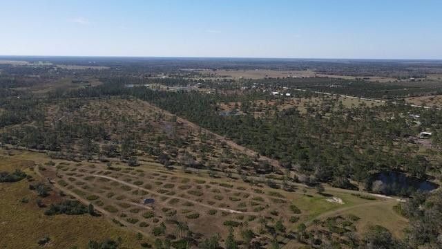 545 New Boot Heel Road, Venus, FL 33960 Photo