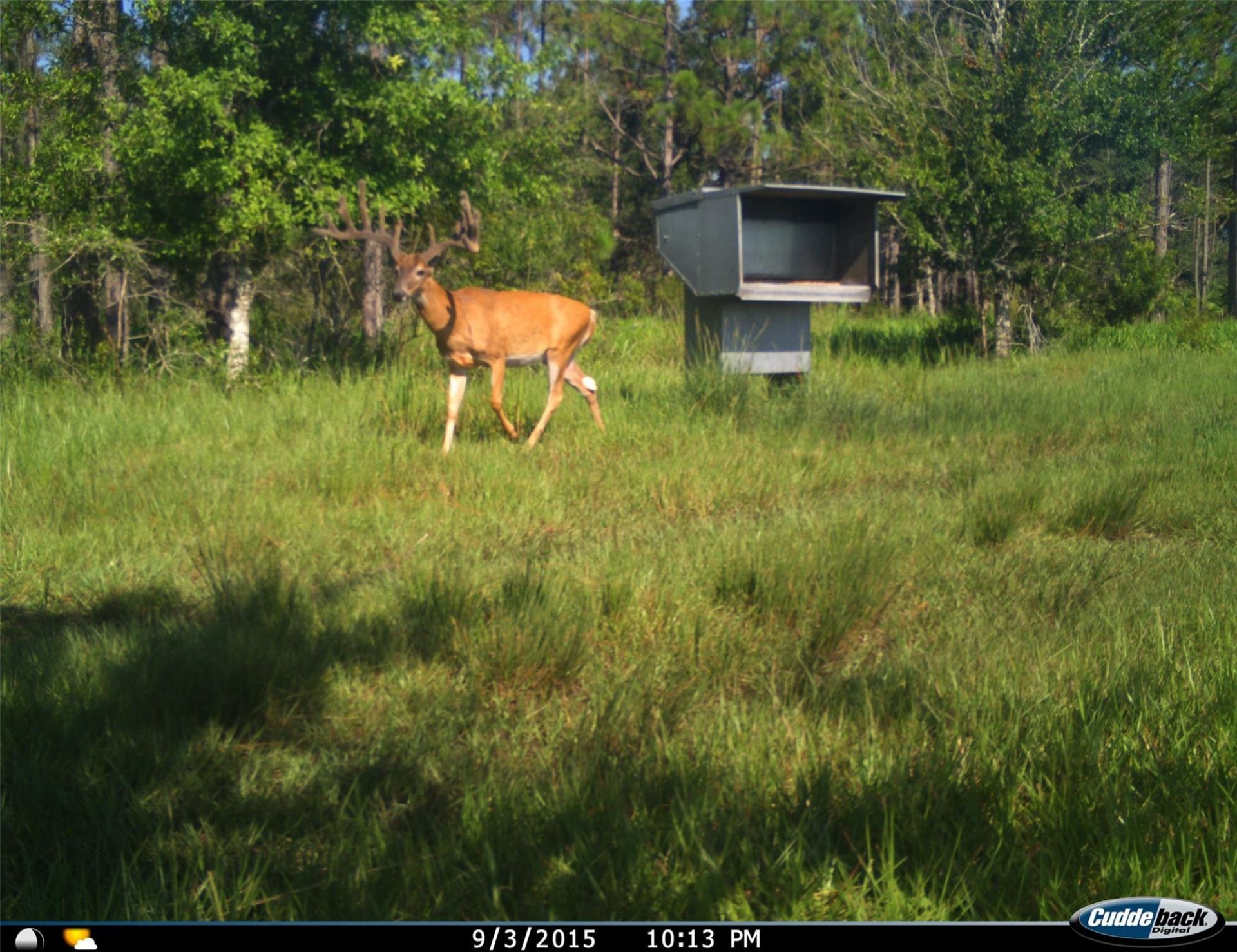 545 New Boot Heel Road, Venus, FL 33960 Photo
