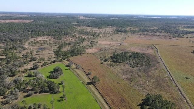 545 New Boot Heel Road, Venus, FL 33960 Photo
