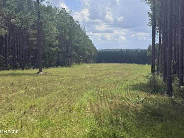 145 Black Bear Lane , Unit 69, Sunbright, TN 37872