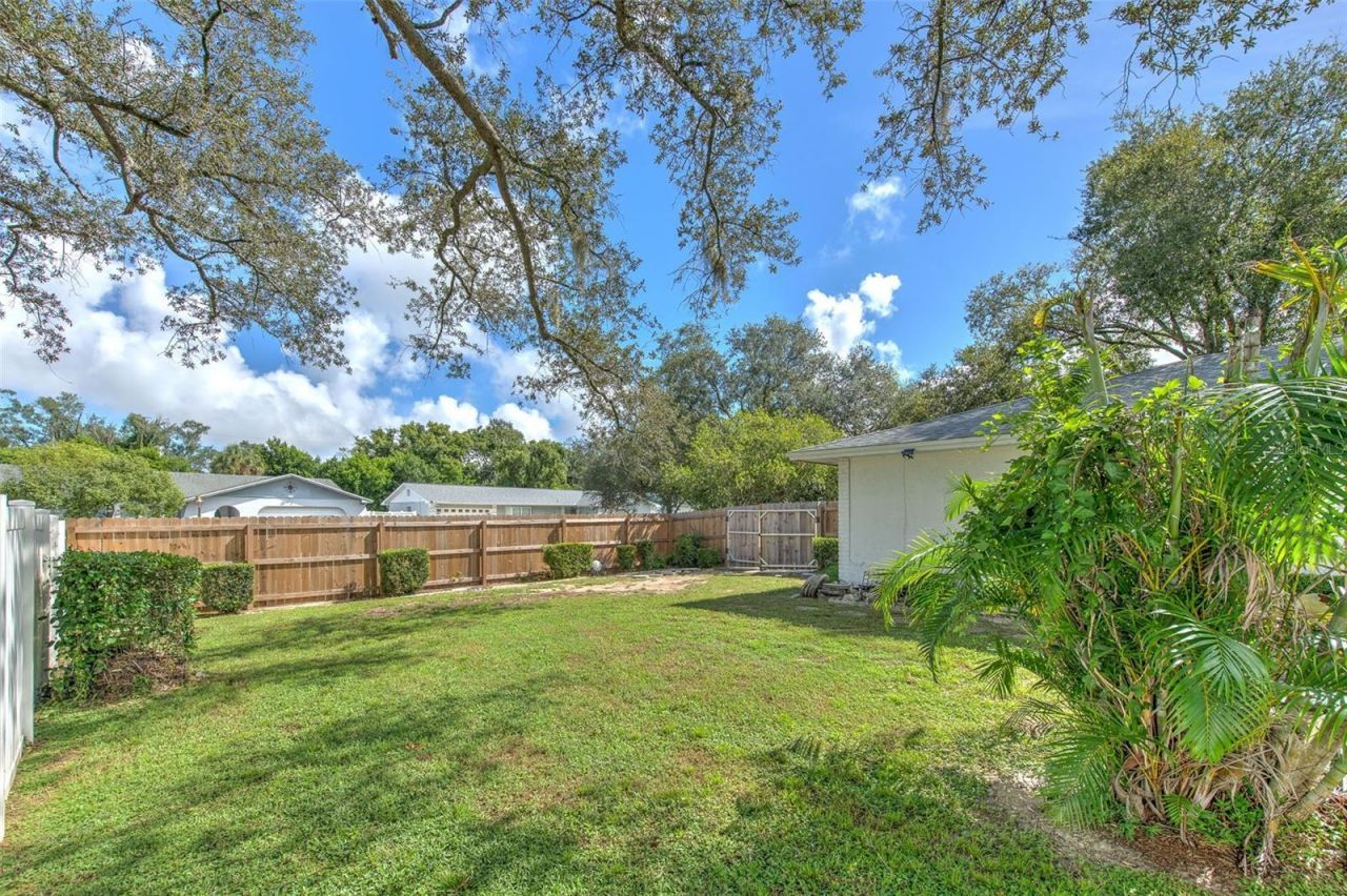 1802 Cherry Ridge Lane, Brandon, FL 33511 Photo