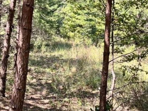 152 County Road 971 , Flat Rock, AL 35966