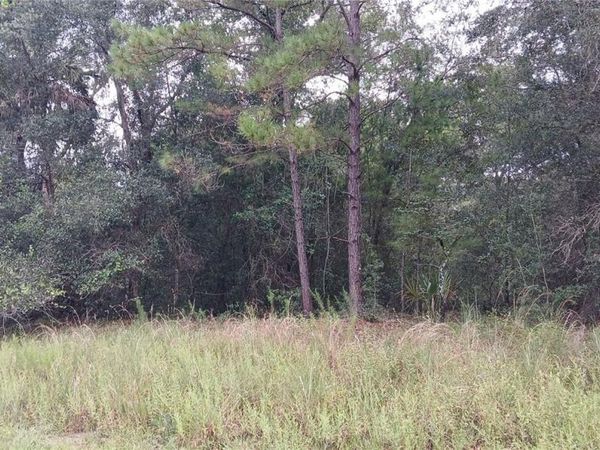 1623 E IVYDALE DRIVE , CITRUS SPRINGS, FL 34434