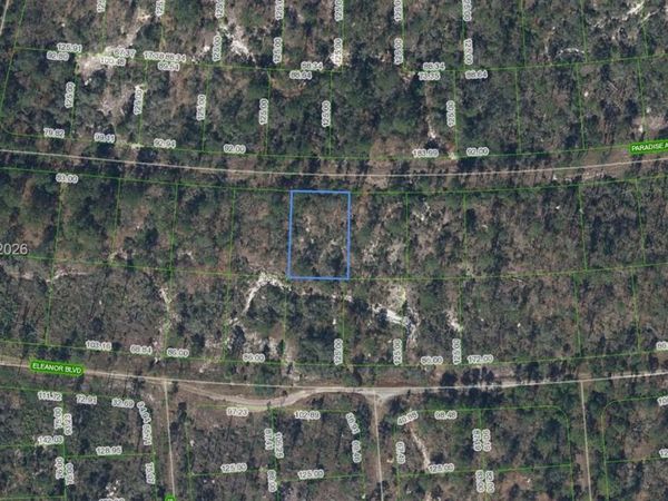 359 Paradise Ave , Lake Placid, FL 33852