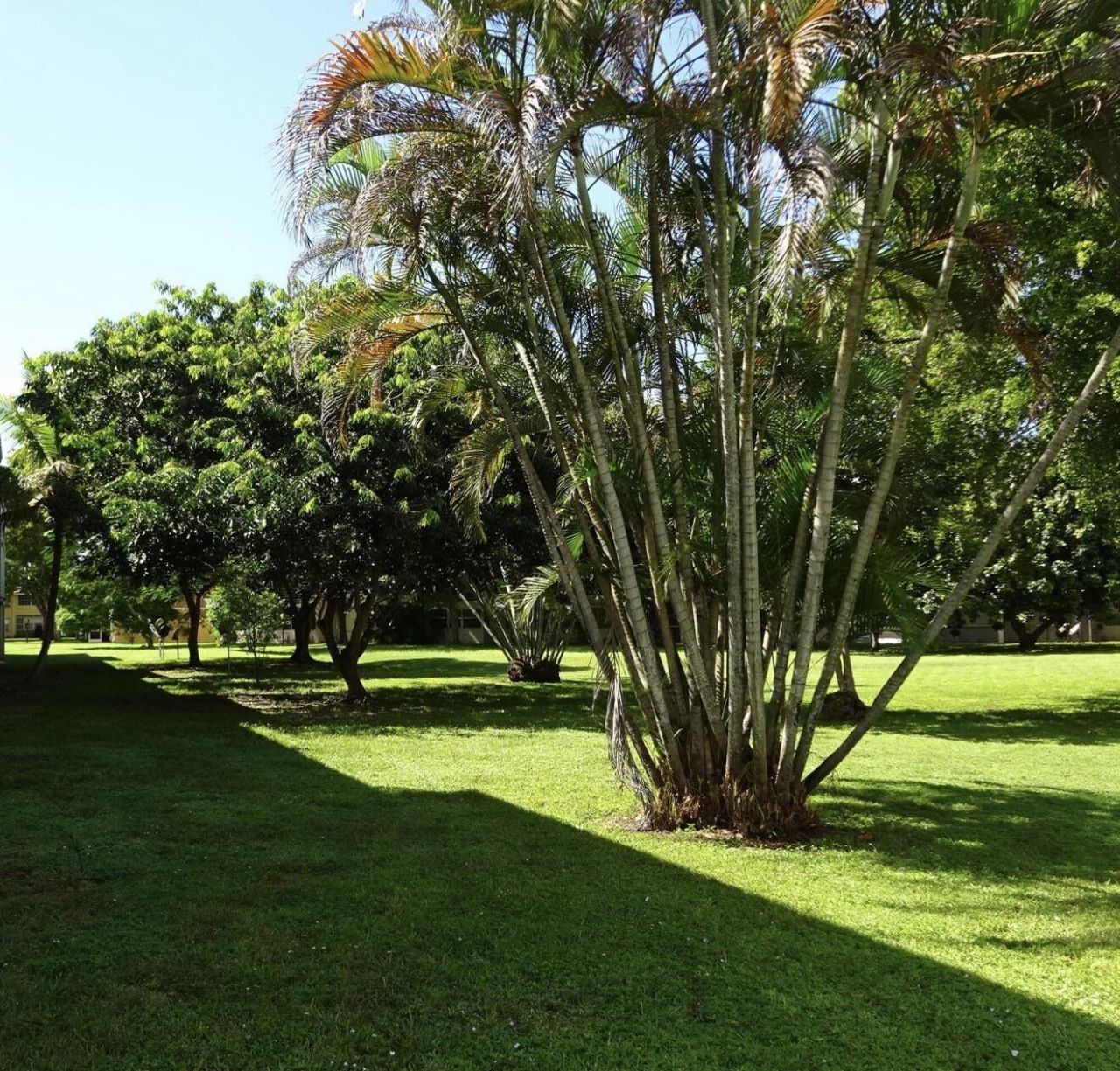 609 S State Road 7, Unit 2D, Margate, FL 33068 Photo