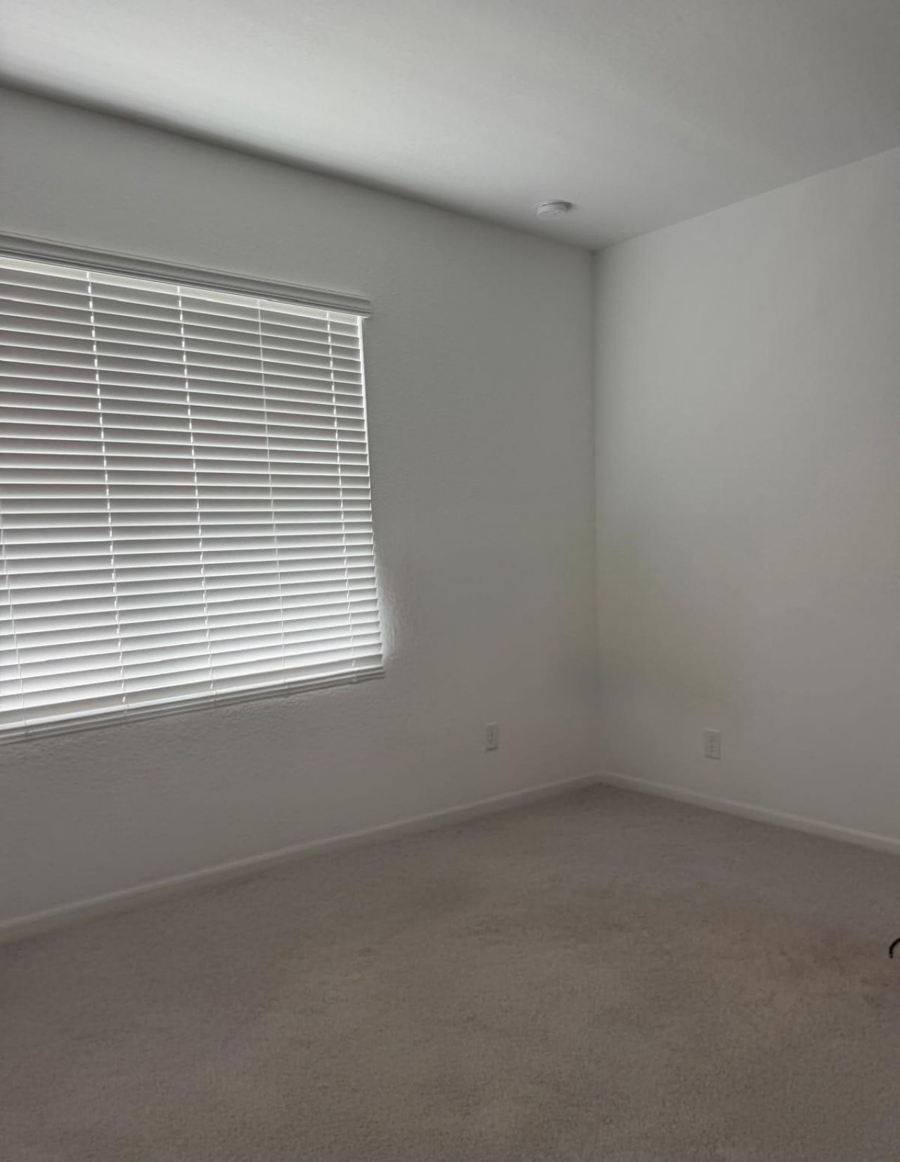 866 SE Grovebush Lane, Port Saint Lucie, FL 34984 Photo