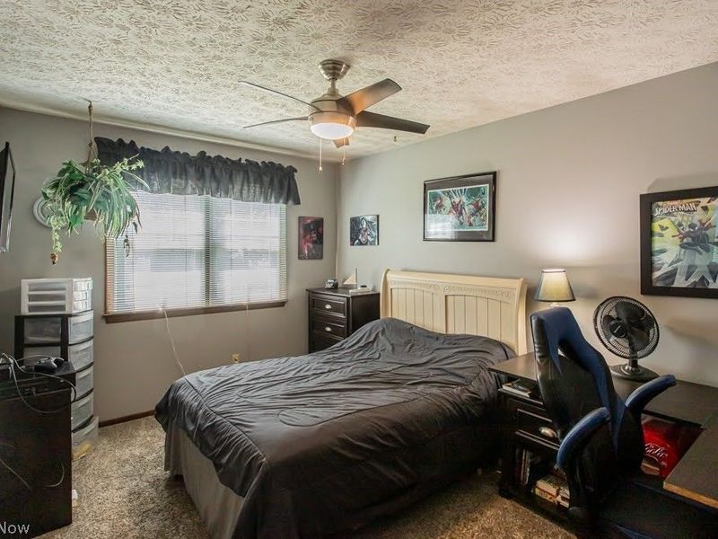 1458 Pepperwood Drive, Niles, OH 44446 Photo 17