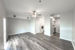 151 Calhoun Street photo 4