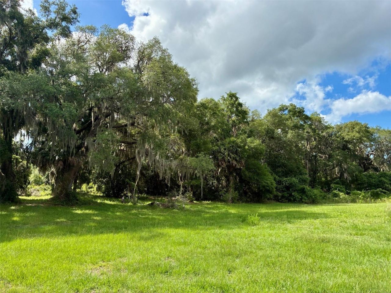 126 Lake Geneva Road, Georgetown, FL 32139 Photo