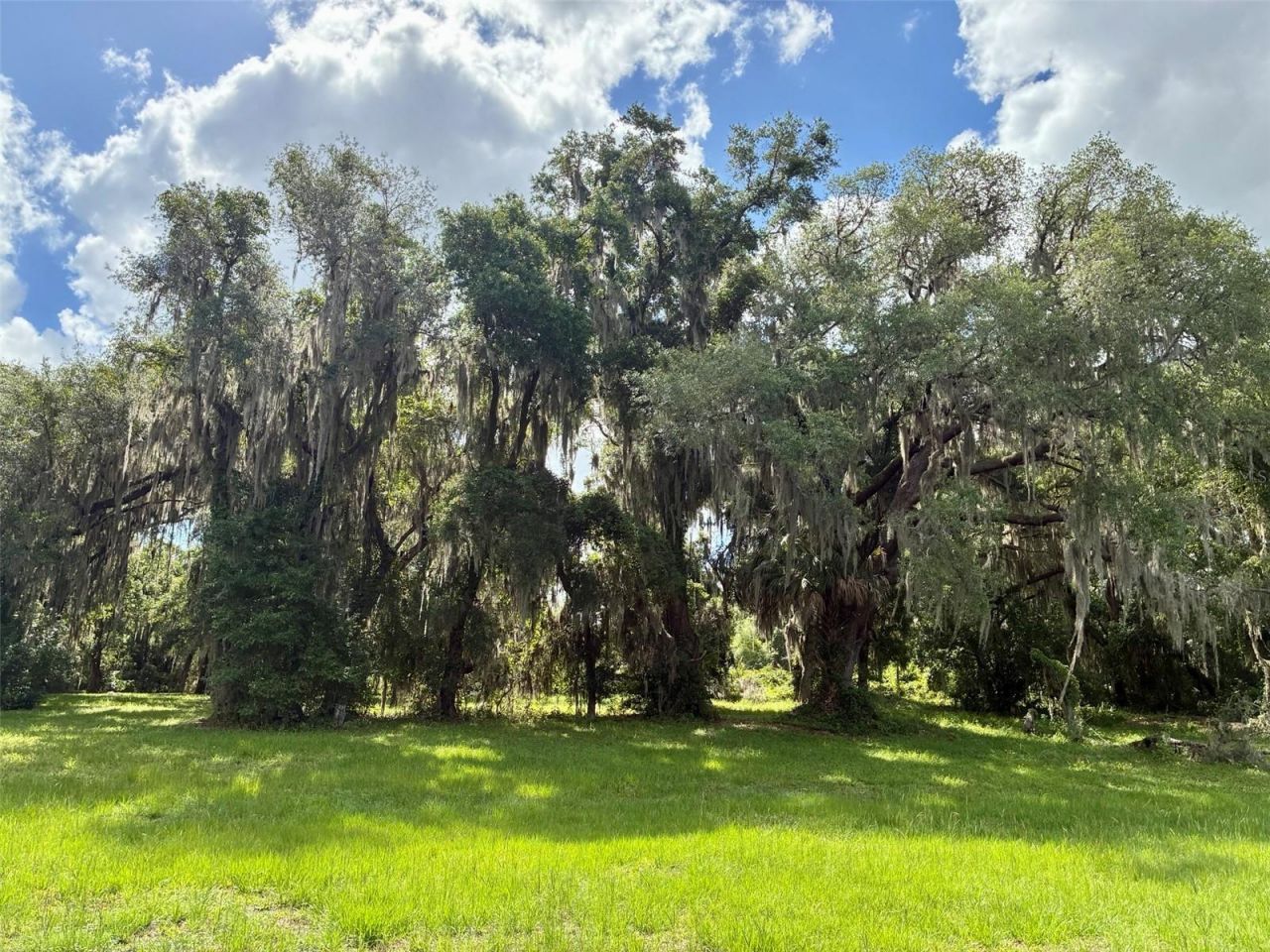 126 Lake Geneva Road, Georgetown, FL 32139 Photo