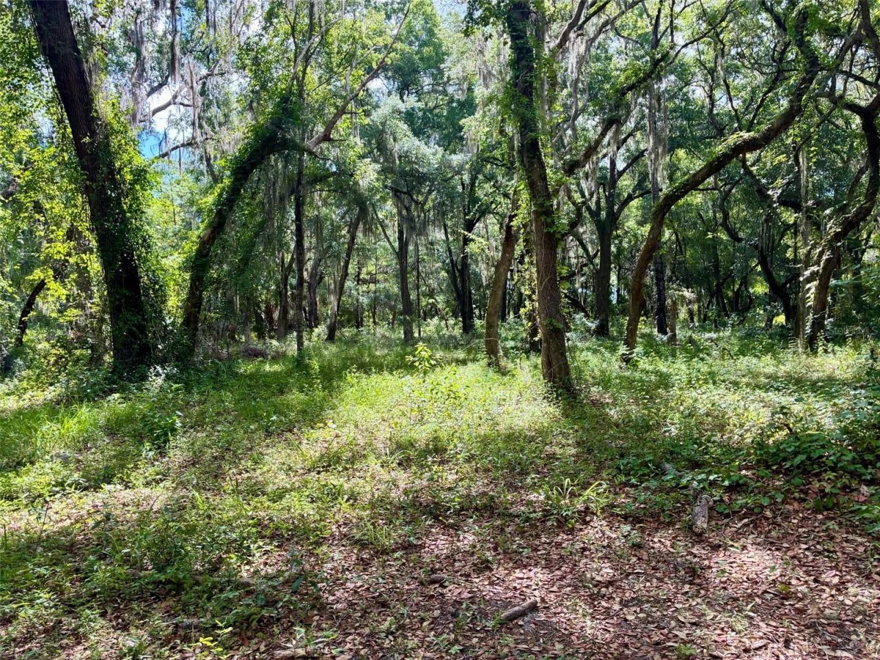 126 Lake Geneva Road, Georgetown, FL 32139 Photo