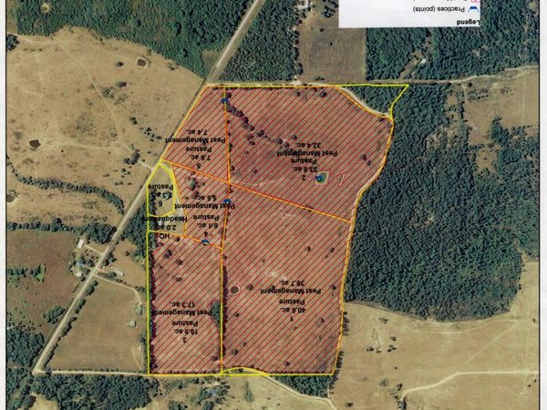 141 Co Rd 329 , Dora, MO 65637