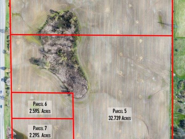 Parcel 4 Lapeer Road , Metamora Township, Mi 48371