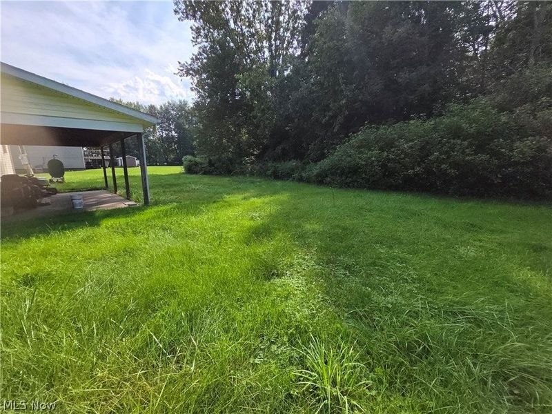 6926 Reed Road, Conneaut, OH 44030 Photo 6