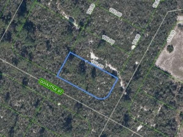 1424 Doolittle ST , LAKE PLACID, FL 33852