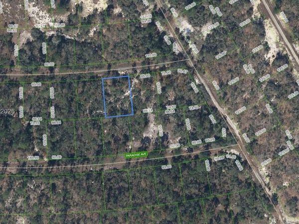 367 Whispering Ave , Lake Placid, FL 33852