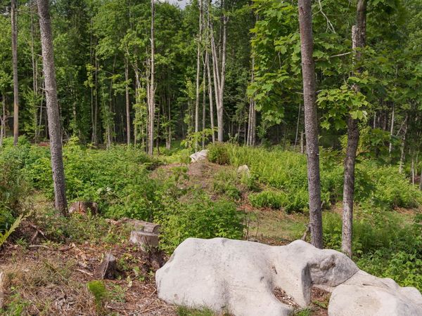 249 Weber Brook Lane, Unit 2, Craftsbury, VT 05826