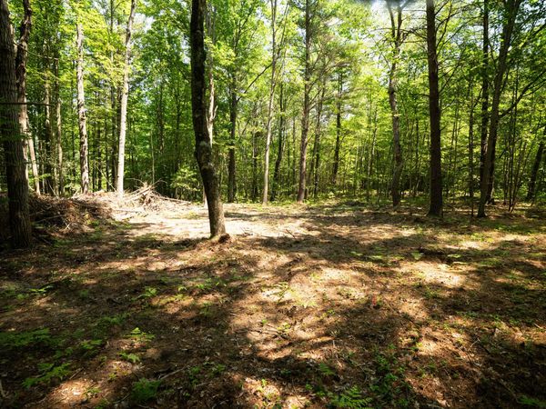 V/L 11.4A W Jefferson Road, Hart, MI 49420