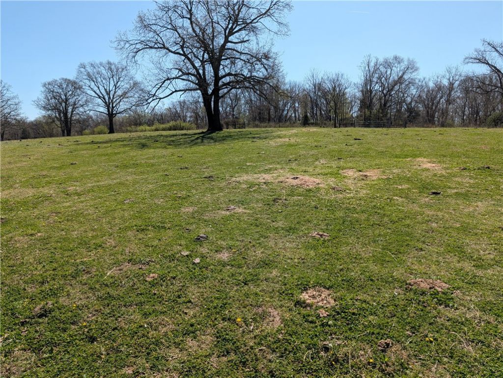 Tbd Kelly Pond Road , Decatur, AR 72722 Main Photo
