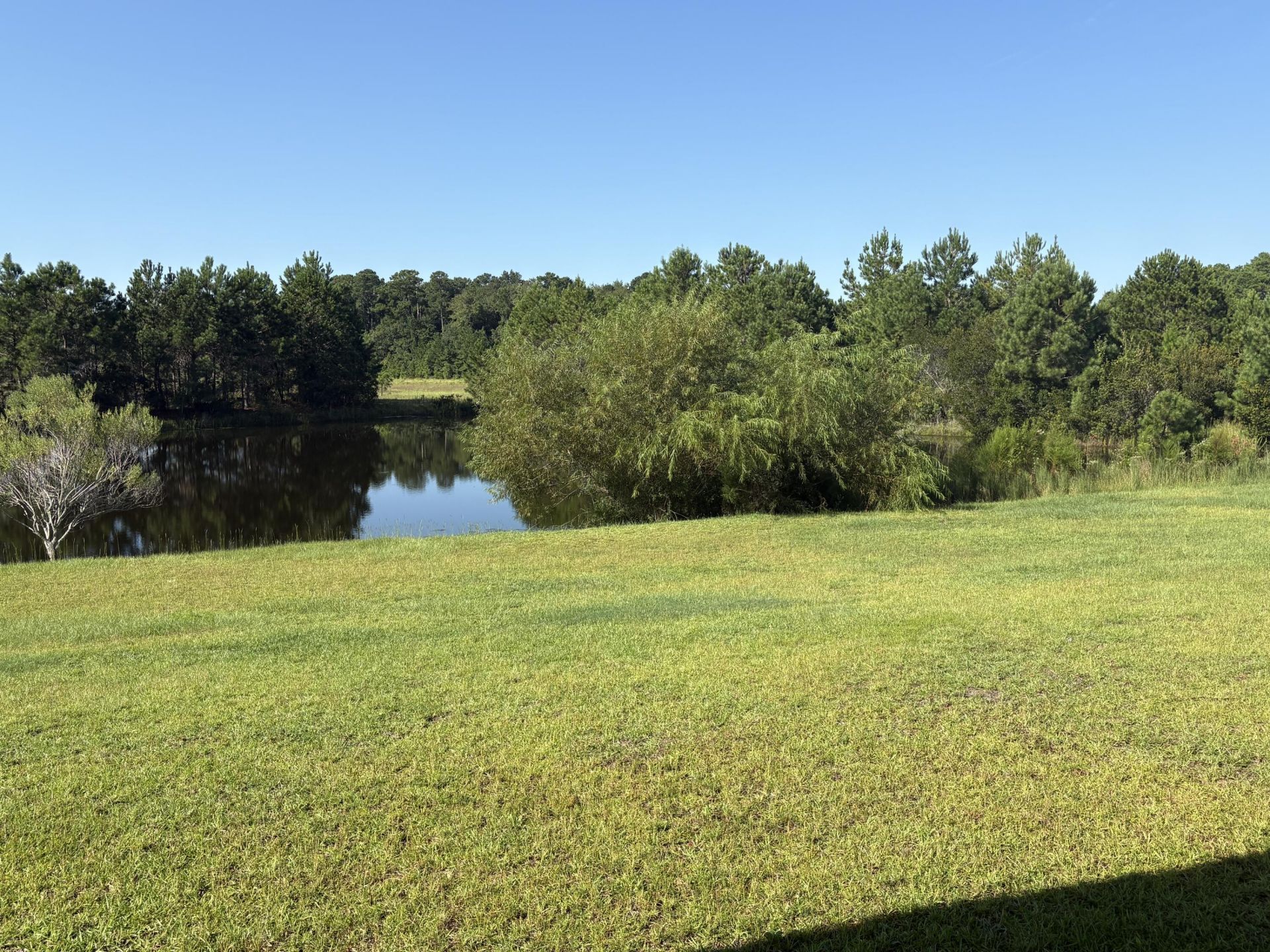 188 Sago Palm Drive Photo 23