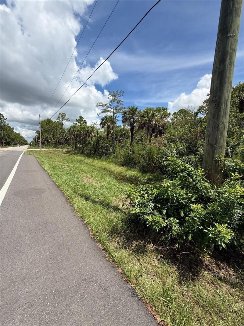 1180 16th Street Ne, Naples, FL 34120 Photo