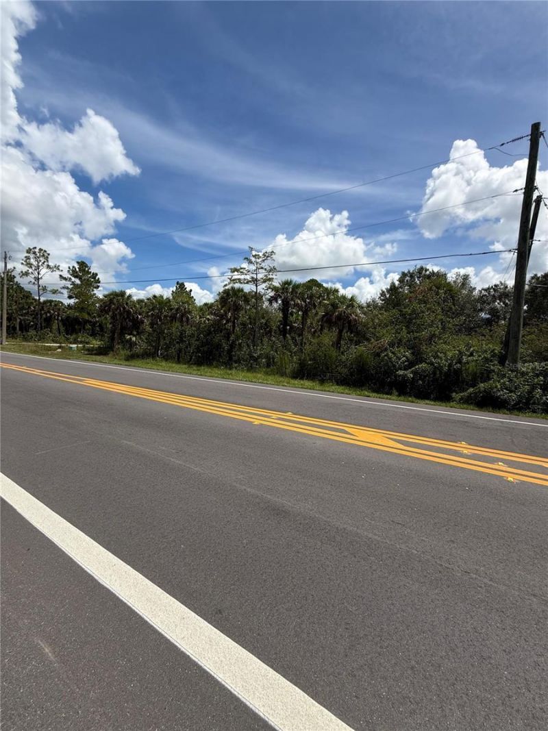1180 16th Street Ne, Naples, FL 34120 Photo
