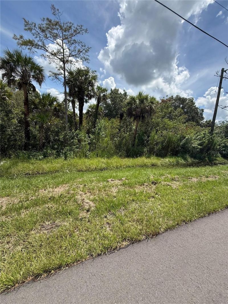 1180 16th Street Ne, Naples, FL 34120 Photo