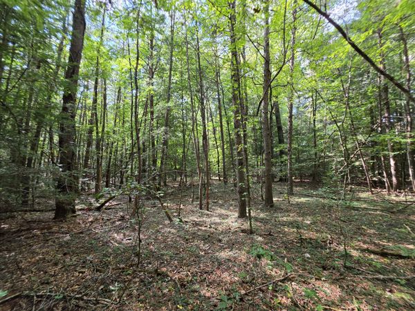 0 Northcutts Cove Road , Beersheba Springs, TN 37305