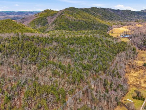 0 Steer Creek Rd , Tellico Plains, TN 37385