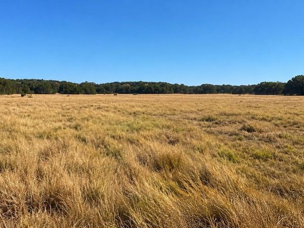 0 County Road 2659, Lometa, TX 76853