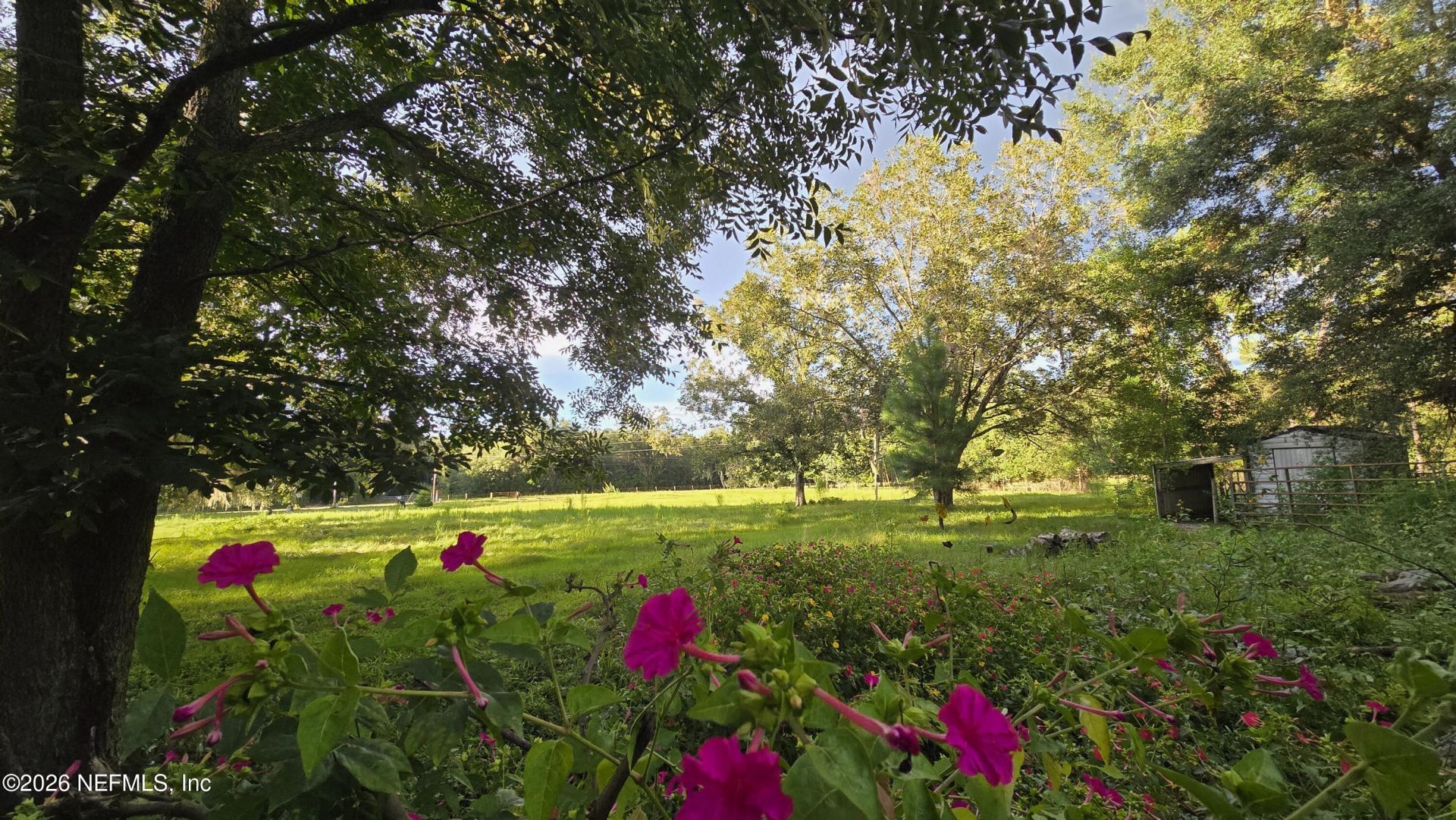 5234 75th Place, Live Oak, FL 32060 Photo