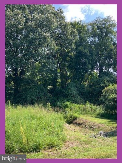 Overland Drive, Bushwood, MD 20618 Main Photo