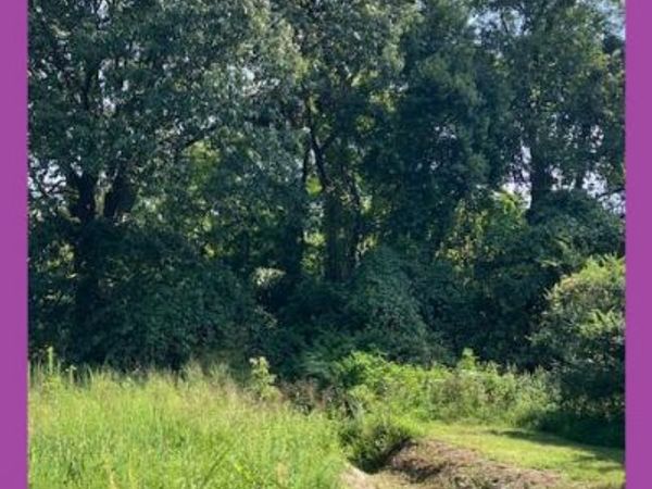 OVERLAND DRIVE, BUSHWOOD, MD 20618