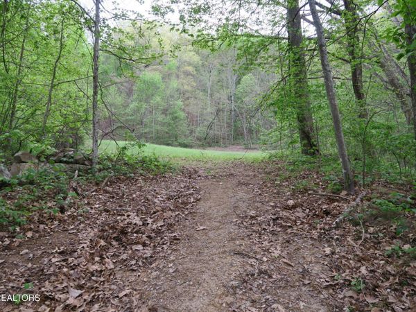 250 Mountain Side Lane , Rocky Top, TN 37769