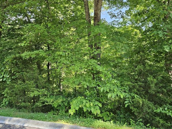 15 Saddleback Way , Unit 15, Sevierville, TN 37862