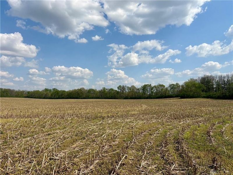 0 Tipp Elizabeth Rd, New Carlisle, OH 45344 Photo 6